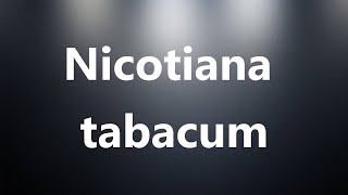 Nicotiana tabacum  Medical Definition and Pronunciation [upl. by Mahseh]