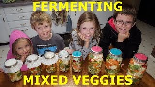 Fermented Mixed Vegetables [upl. by Irme459]