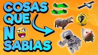 Cosas que NO sabías hace 5 minutos⏰🧠 10 [upl. by Ahrat]