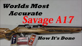 Savage A17 17HMR How I Made It Shoot Straight [upl. by Polak]