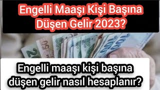 2023 Engelli Maaşı Kişi Başına Düşen Gelir Engelli maaşı kişi başına düşen gelir nasıl hesaplanır [upl. by Aneehsak]