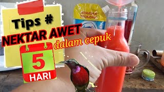 Tips racikan nektar AWET 5 hari dalam cepuk [upl. by Nimajeb]