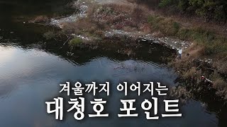 겨울까지 배스 공략이 가능한 대청호 지금부터 시작해도 됩니다 [upl. by Analra]