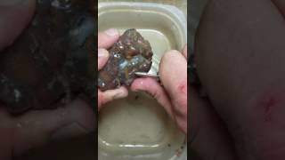 Fire Agate tutorials  Diamond Sintered burs [upl. by Latreese]