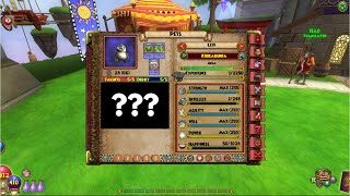 Wizard101 SpeedRun Update [upl. by Oenire]