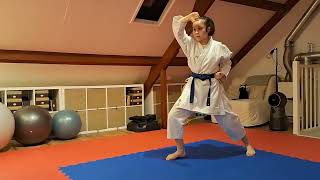 Kata Heian Shodan Explantion Video English [upl. by Margaux]