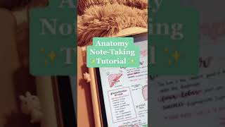 Tutorial on how I take notes for Anatomy 🥰 Good notes 5 [upl. by Enneire]