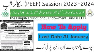 Punjab Educational Endowment 20232024 PEEF scholarship [upl. by Girvin]