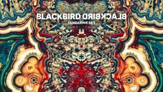 Blackbird Blackbird  Beasts [upl. by Adolpho]