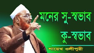 মনের সু স্বভাব কু স্বভাব Allama Nurul Islam Olipuri Bangla Waz 2019 [upl. by Manville582]