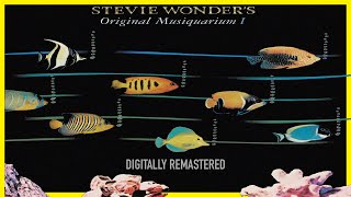 Stevie Wonder  Superstition 2000 Remastered [upl. by Feinstein]