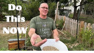 Create Amazing garden soil with this 5 cover crop blend gardeningtips fallgarden organic [upl. by Ramor]