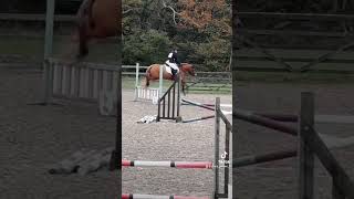 Rosie flying today Pony jumping Crazy ponies [upl. by Ayotahs633]