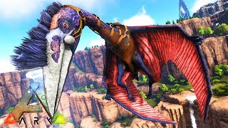 ARK SURVIVAL EVOLVED  QUETZAL TAMING [upl. by Nivanod]