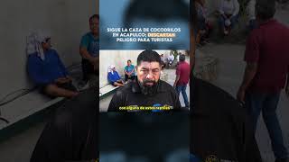 Sigue la caza de cocodrilos en Acapulco descartan peligro para turistas [upl. by Kusin279]