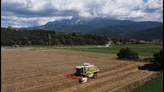 Paisajes agrarios  AgroPirineus [upl. by Tesler]