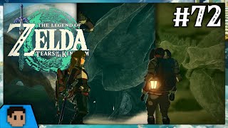 Fix the Leviathan Fossils  TLOZ Tears of the Kingdom 72 [upl. by Bithia]