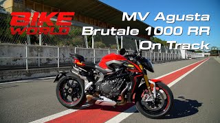 MV Agusta Brutale 1000 RR On Track [upl. by Sandeep7]