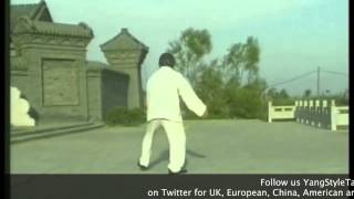 Fu Sheng Yuan Tai Chi Sabre [upl. by Ahseneuq]