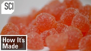 How Gummy Vitamins Are Made  How Its Made [upl. by Nic]