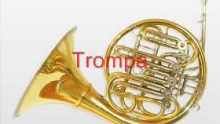 CUALIDADESONIDOINSTRUMENTOS2wmv [upl. by Randee]