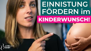 Kinderwunsch  Gebärmutterschleimhaut aufbauen  Einnistung fördern [upl. by Einomrah989]