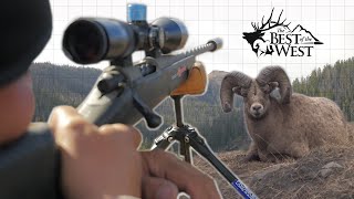 ROCKY MOUNTAIN BIGHORN HUNT 300 PRC [upl. by Emmuela]