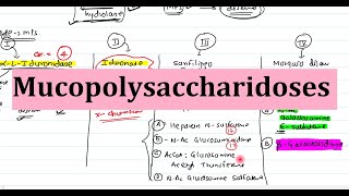 28 Mucopolysaccharidoses  Biochemistry Clinical Features Diagnosis and Treatment [upl. by Kred]