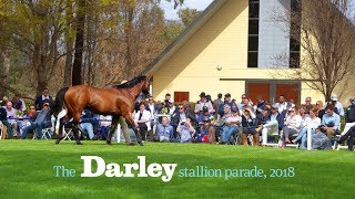 The 2018 Darley stallion parades at New South Wales and Victoria studs [upl. by Jemmie]