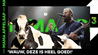 Dierendag compilatie  Mama Appelsap 28  NPO 3FM [upl. by Kiker]