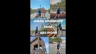 Jubail Mangrove Park Abu Dhabi 🌱🇦🇪 [upl. by Tergram]