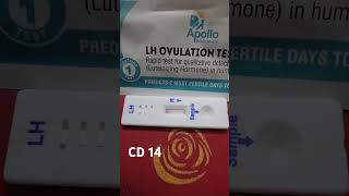 TTC 2  CD 14  Ovulation kit  LH test  05 Oct 2024  Baby Bump ttcjourney [upl. by Nelag869]