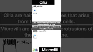 Cilia and Microvilli Know the differenceshorts [upl. by Nickola383]