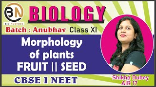 MORPHOLOGY OF FLOWERING PLANTS FRUIT  SEED  CLASS XI BIOLOGY NEET 2025 ANUBHAV [upl. by Eiralih]