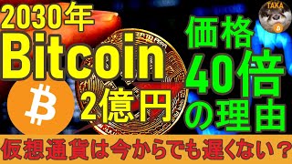 【ビットコイン価格40倍】2030年1BTC2億円の理由。仮想通貨は今からでも遅くない？ [upl. by Wohlert]