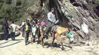 Gaurikund to Kedarnath [upl. by Soinski]