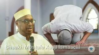 salaada habeenkii latukado sh  mustaffa xaaji ismaaciil haaruun [upl. by Nuawd]