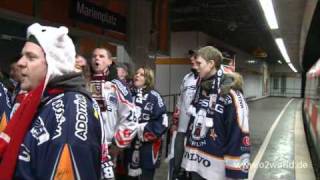 Eisbären Sonderzug Fans fahren nach München [upl. by Hahcim]