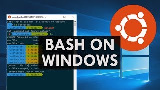 How to get bash shell in Windows 10 [upl. by Rhyne140]