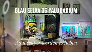 Blau Aquaristic Cubic 35 SELVA  die Vorteile von diesem Paludarium [upl. by Treacy]