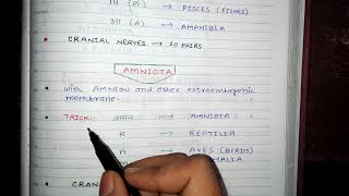 Anamniota and Amniota याद करने की अद्भुत Trick [upl. by Lopes]