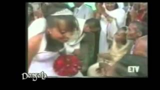 New Tigrigna Music Ethiopia Anbessa Tekle wedding Song אמהרית [upl. by Jaenicke280]