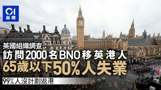 BNO移民｜英國調查：5成65歲以下受訪移英港人失業 99無意回港｜01新聞｜英國｜失業｜移英港人｜回港 [upl. by Alekahs546]