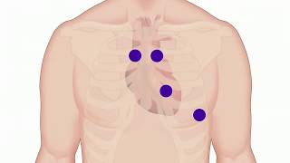 How to use a Stethoscope for Patient Exams [upl. by Bresee]