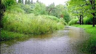 Rain Sounds in the Park for a Perfectly Restful Sleep  Healing and Meditation Stress Relief [upl. by Tisman948]