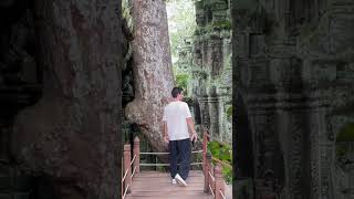 Ta Prohm camboya nature naturetraveller monkey travel wildlifetravel plants [upl. by Ellekcim]