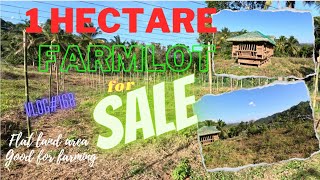 vlog168 1 HECTARE FARM LOT FOR SALE propertyforsalephilippines farmlotforsale property [upl. by Ymer334]