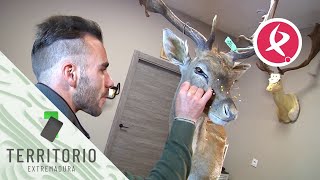 La taxidermia un oficio en vías de extinción  Territorio Extremadura [upl. by Cnahc729]