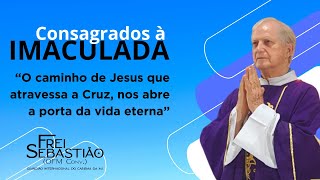 O caminho de Jesus que atravessa a Cruz nos abre a porta da vida eterna Frei Sebastião B Quaglio [upl. by Melia]