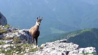 Ybbstaler Alpen Biwak  TEIL 2 Dürrenstein [upl. by Enoob]